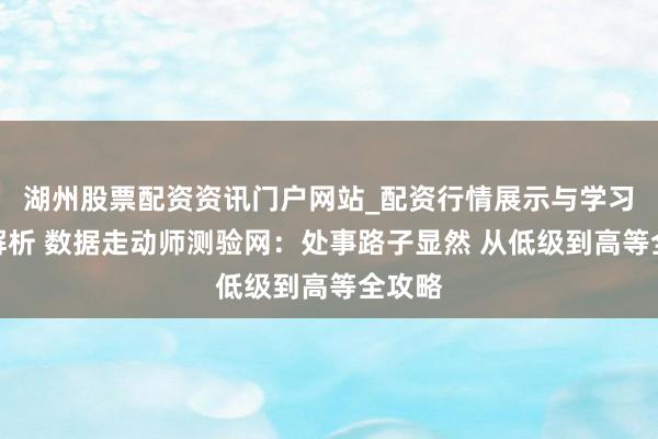 湖州股票配资资讯门户网站_配资行情展示与学习内容解析 数据走动师测验网：处事路子显然 从低级到高等全攻略