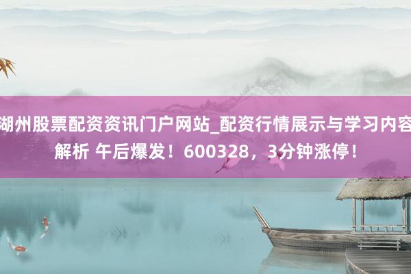 湖州股票配资资讯门户网站_配资行情展示与学习内容解析 午后爆发！600328，3分钟涨停！