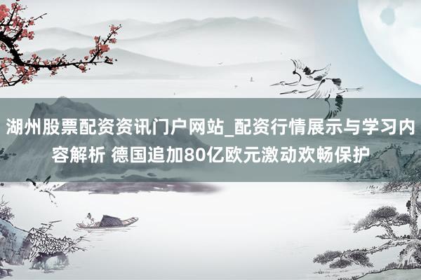 湖州股票配资资讯门户网站_配资行情展示与学习内容解析 德国追加80亿欧元激动欢畅保护