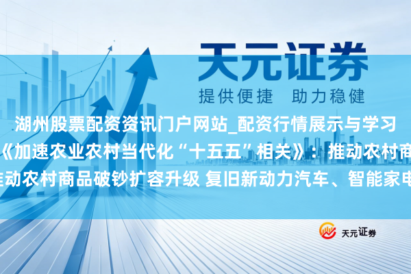 湖州股票配资资讯门户网站_配资行情展示与学习内容解析 国务院印发《加速农业农村当代化“十五五”相关》：推动农村商品破钞扩容升级 复旧新动力汽车、智能家电、绿色 建材下乡